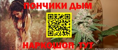 гидропоника Гатчина