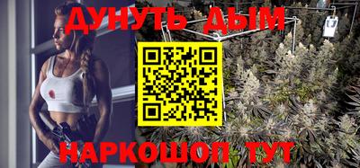 гидропоника Гатчина